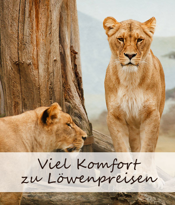 Lorem Ipsum
